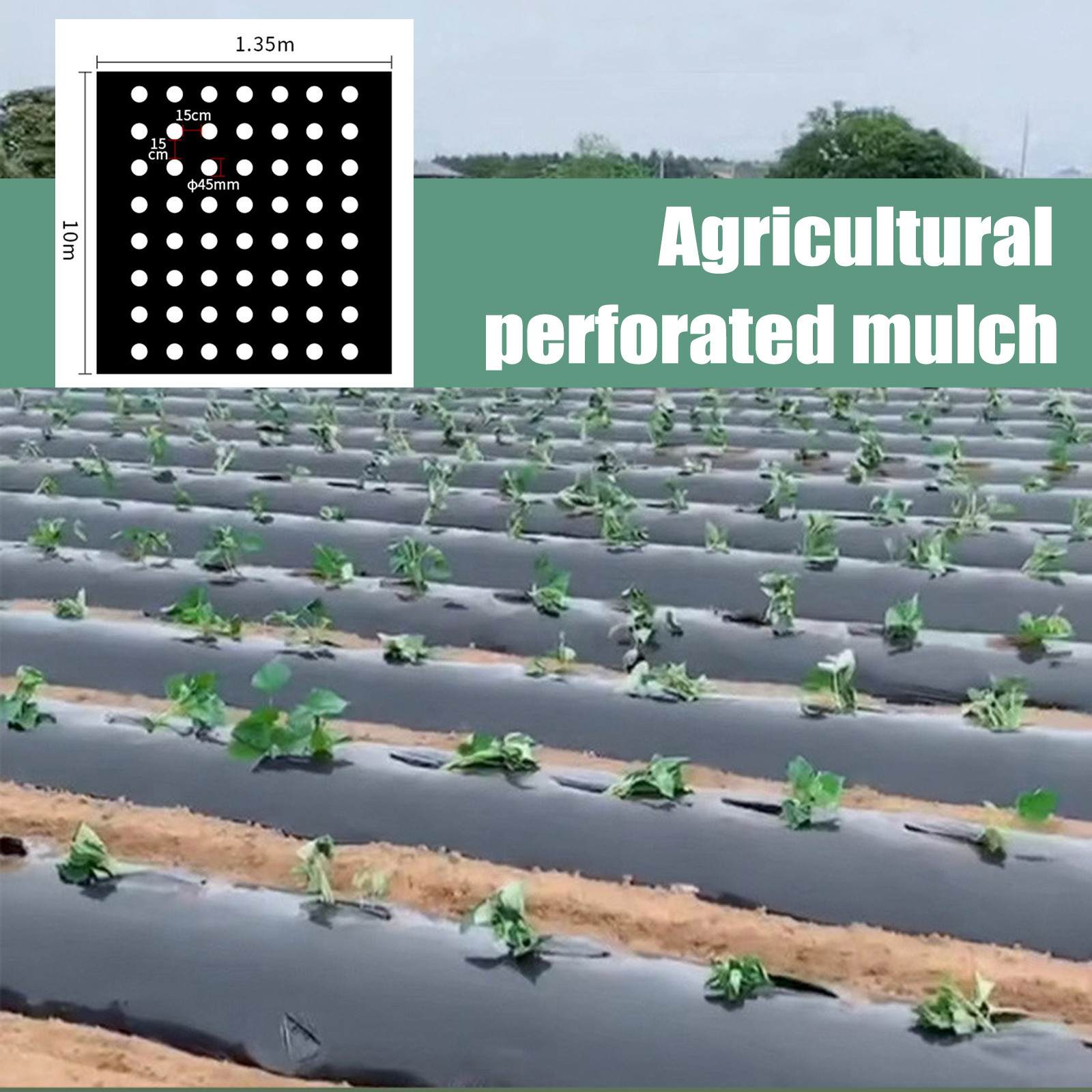 Greenhouse Plastic Film - Filme de Cobertura Perfurado de PE