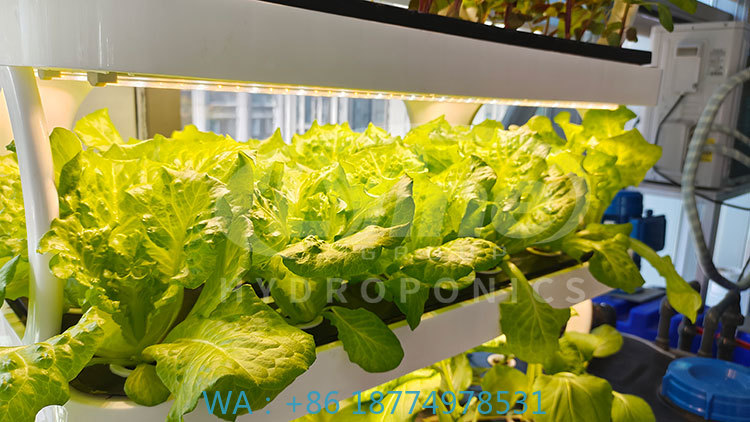 Farming Equipment For Agriculture - c Máquina agrícola para cultivo de