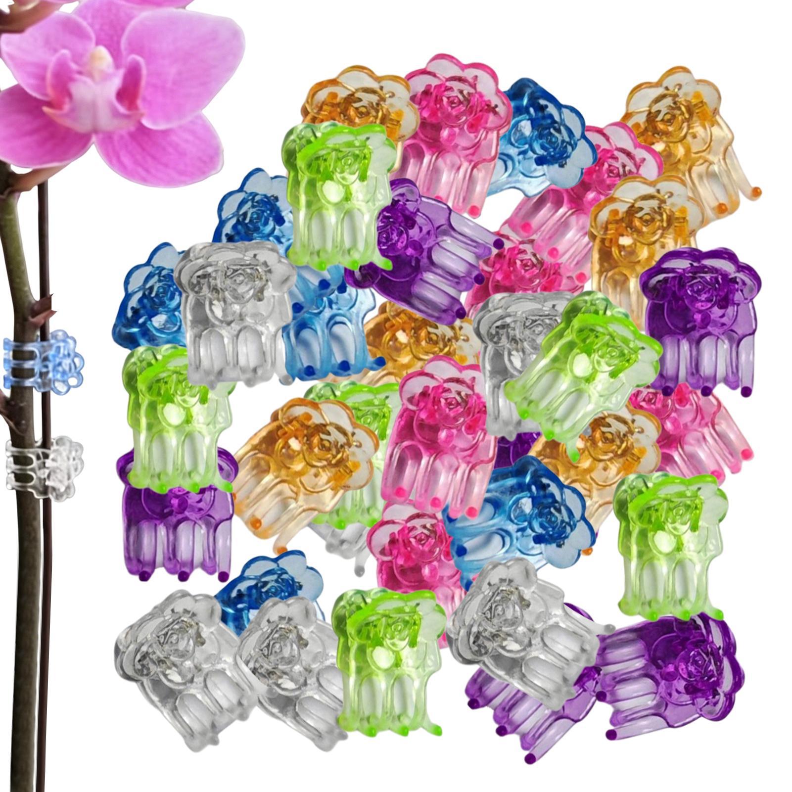 Clipes para Orquídeas 60 Peças - Greenhouse Plastic Film avaliação e preço