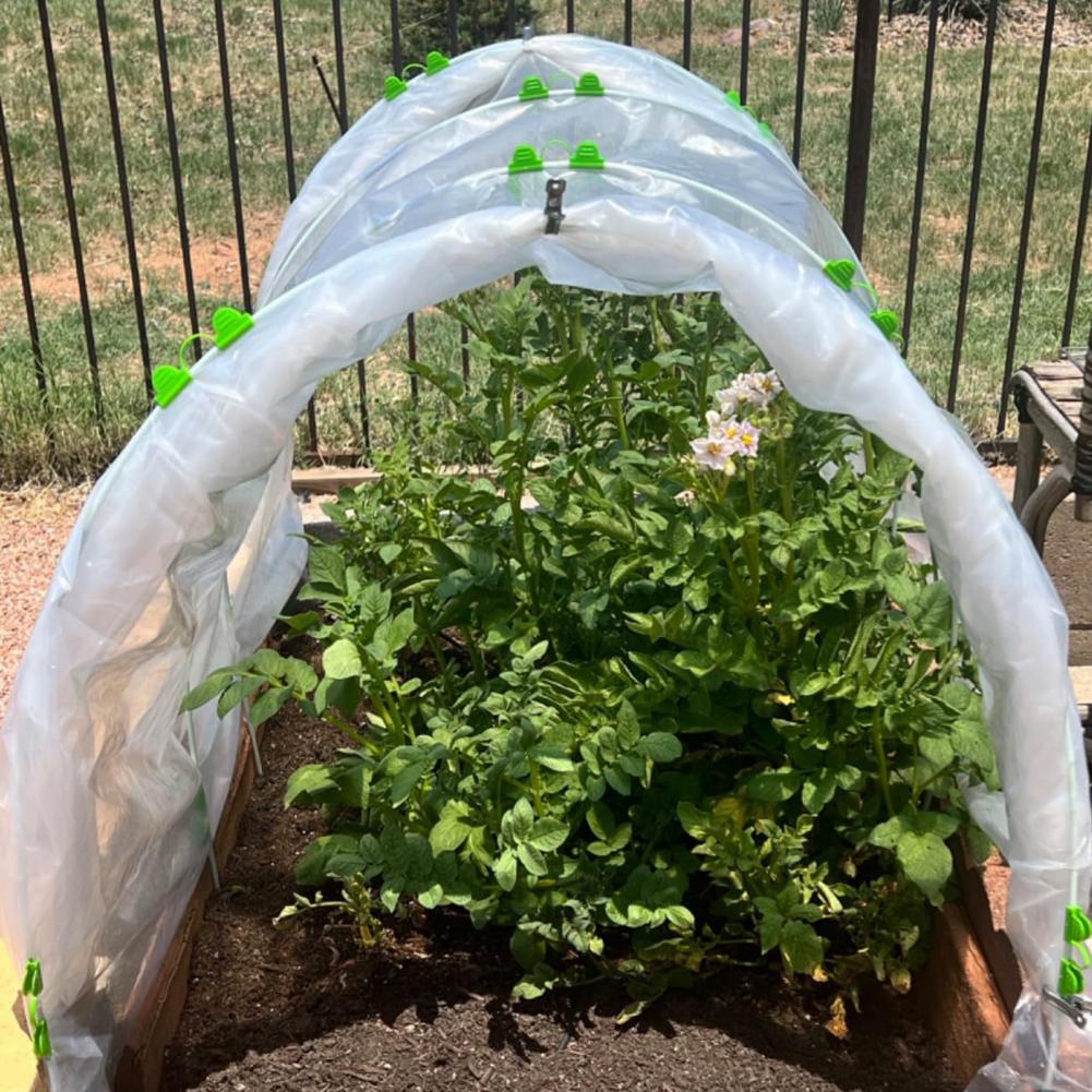 Capa plástica clara da planta  - Greenhouse Plastic Film avaliação e preço