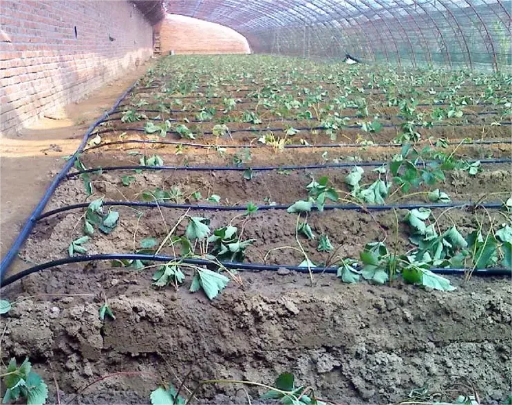 Kit de Irrigação 1HA Ferrament - Agriculture Farming Kit avaliação e preço