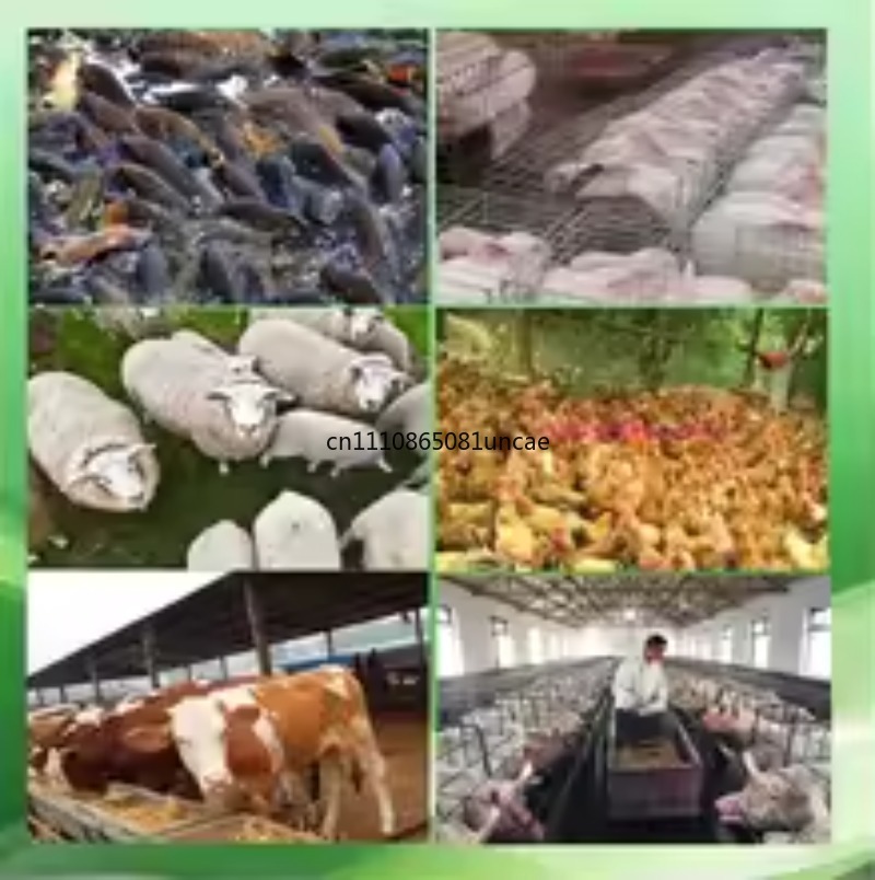 Máquina de Fazer Pellets Multi - Wood Pellet Making Machine avaliação e preço