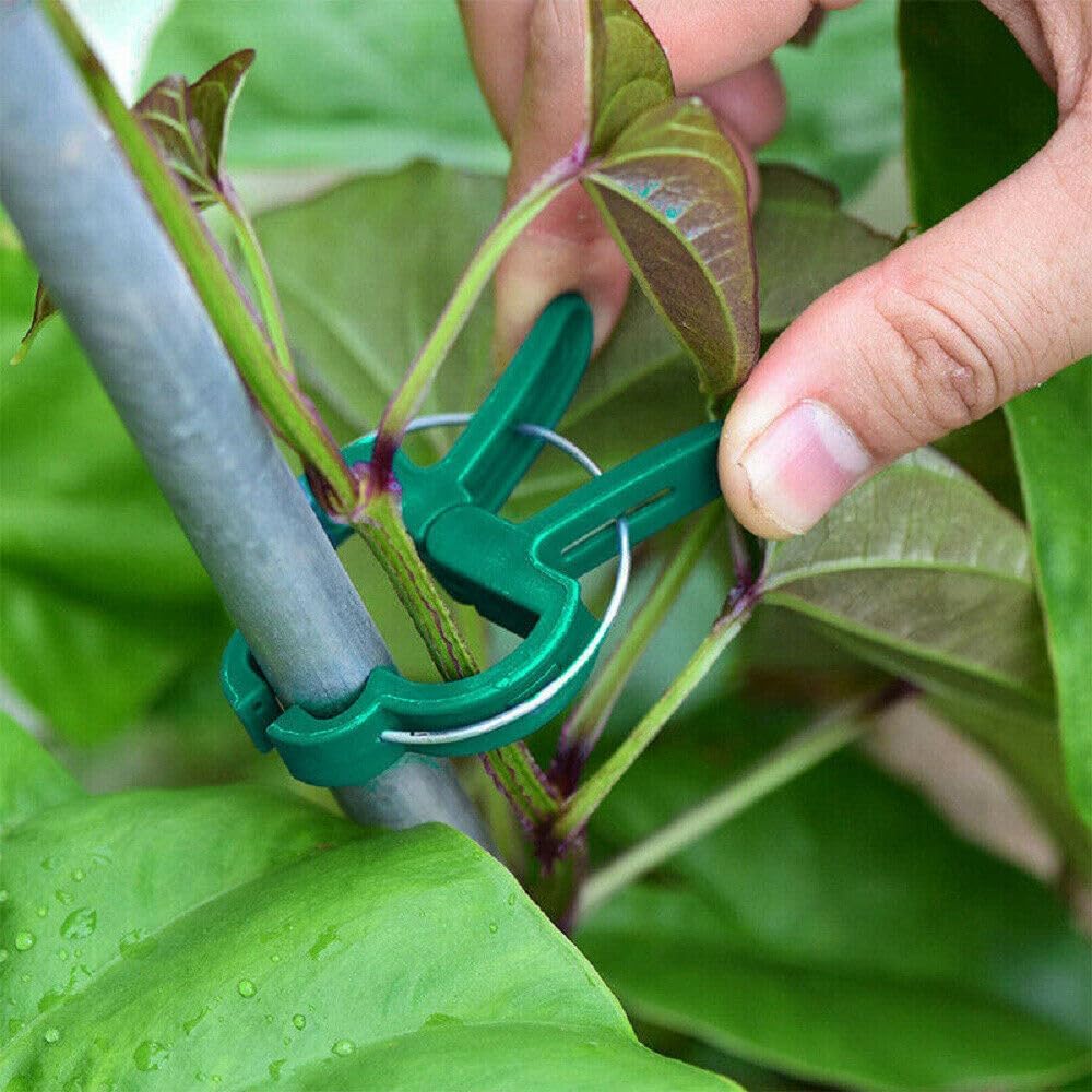 Clipes de Jardim Reforçados Re - Greenhouse Plastic Film avaliação e preço